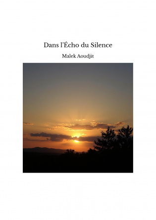 Dans l'Écho du Silence