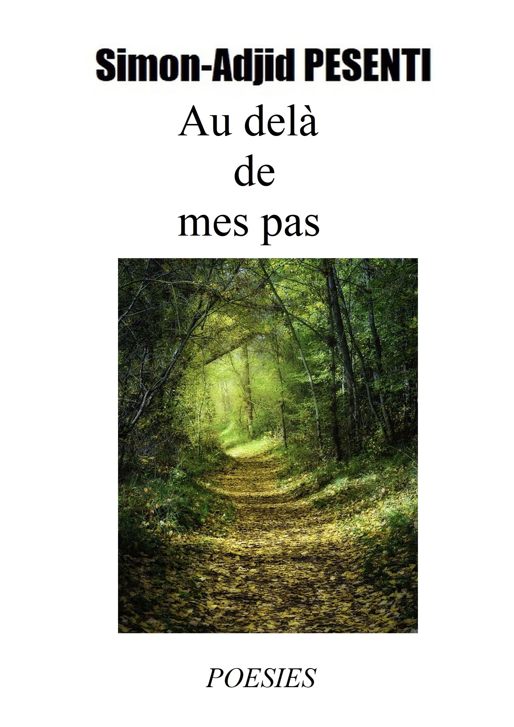 Au delà de mes pas 