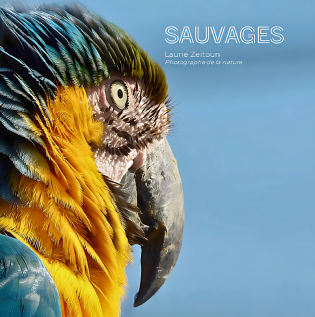 Sauvages