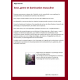 Sexe, genre et domination masculine