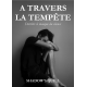 A Travers la Tempête