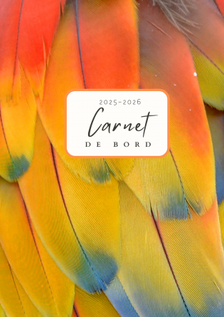 Carnet de Bord Rio