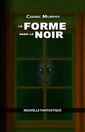La forme dans le noir