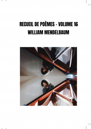 RECUEIL DE POÈMES - VOLUME 16
