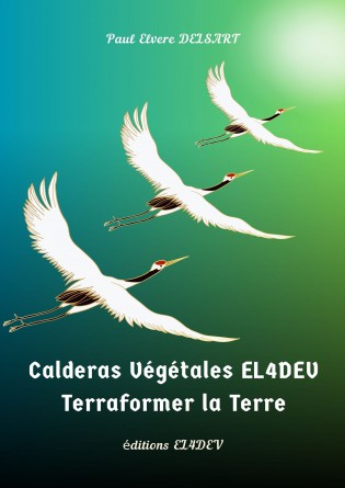Calderas Végétales EL4DEV
