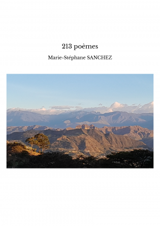 213 poèmes