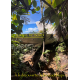 À la découverte de la Guadeloupe