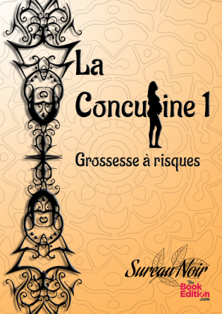 La Concubine 1 : Grossesse à risques