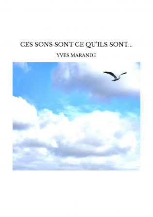 CES SONS SONT CE QU'ILS SONT...