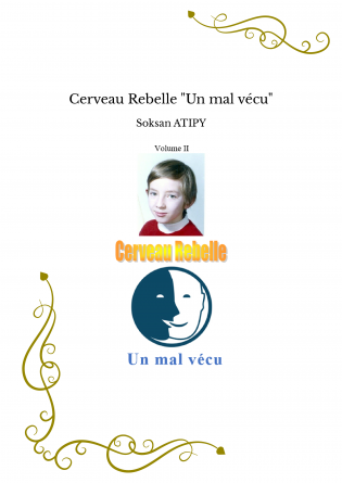 Cerveau Rebelle "Un mal vécu"