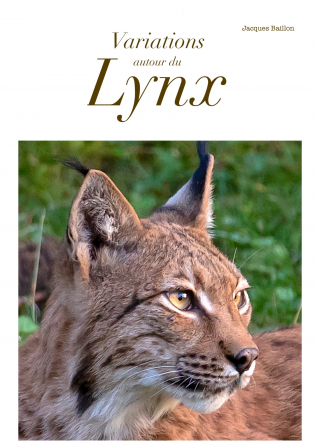 Variations autour du lynx