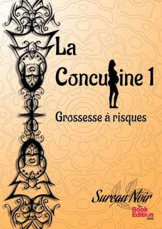 La Concubine 1 : Grossesse à risques