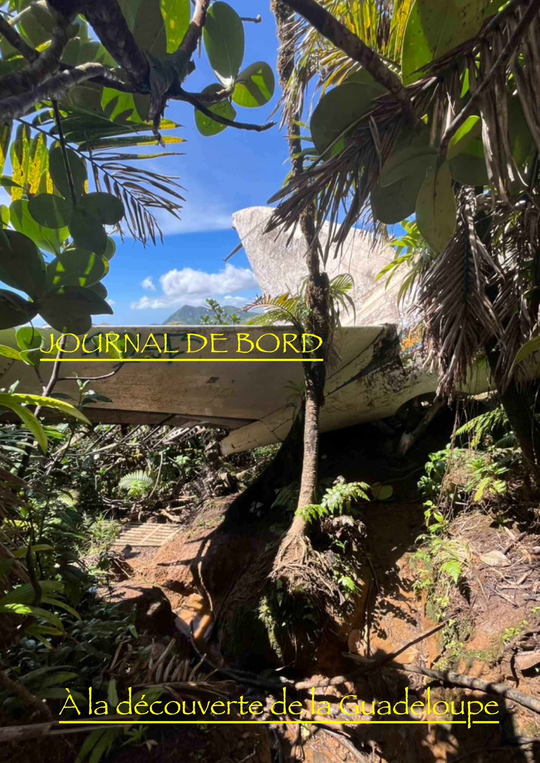 À LA DÉCOUVERTE DE LA GUADELOUPE