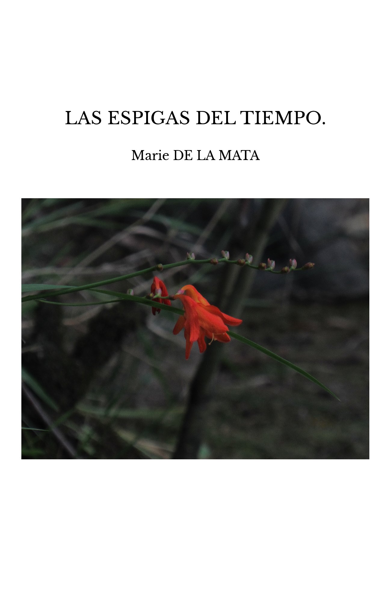 LAS ESPIGAS DEL TIEMPO.