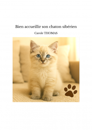 Bien accueillir son chaton sibérien