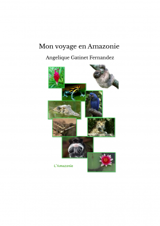 Mon voyage en Amazonie 