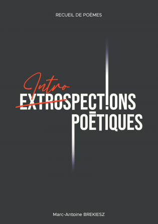 EXTROSPECTIONS POETIQUES