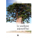Le soufisme aujourd'hui