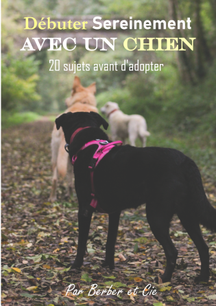 Débuter sereinement avec un chien