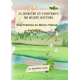 24 Insectes du Printemps