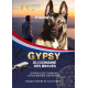 GYPSY DU DOMAINE DES BRAVES