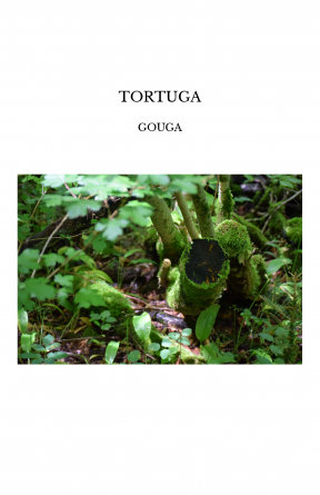 TORTUGA