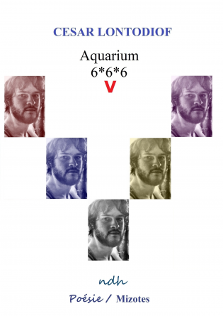 Aquarium 6*6*6 V