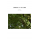 L'ARBRE EN FLEURS