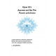Opus 10's Aurores net Syr Poe