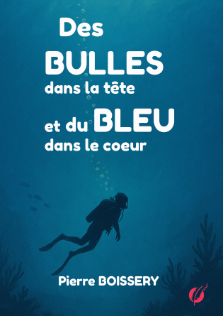 Des bulles dans la tête 