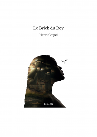 Le Brick du Roy
