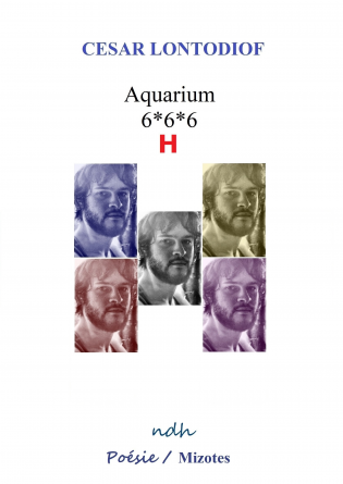 Aquarium 6*6*6 H