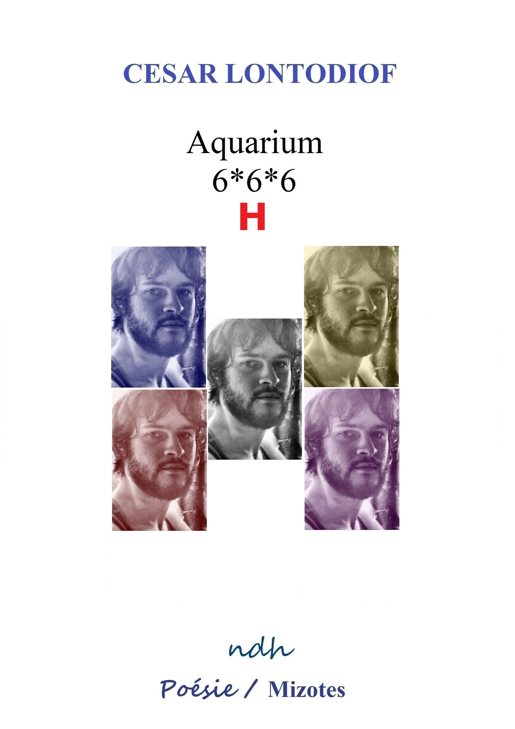 Aquarium 6*6*6 H