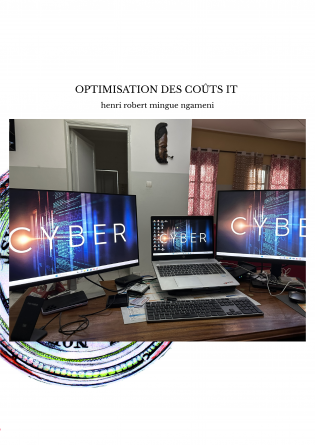 OPTIMISATION DES COÛTS IT 