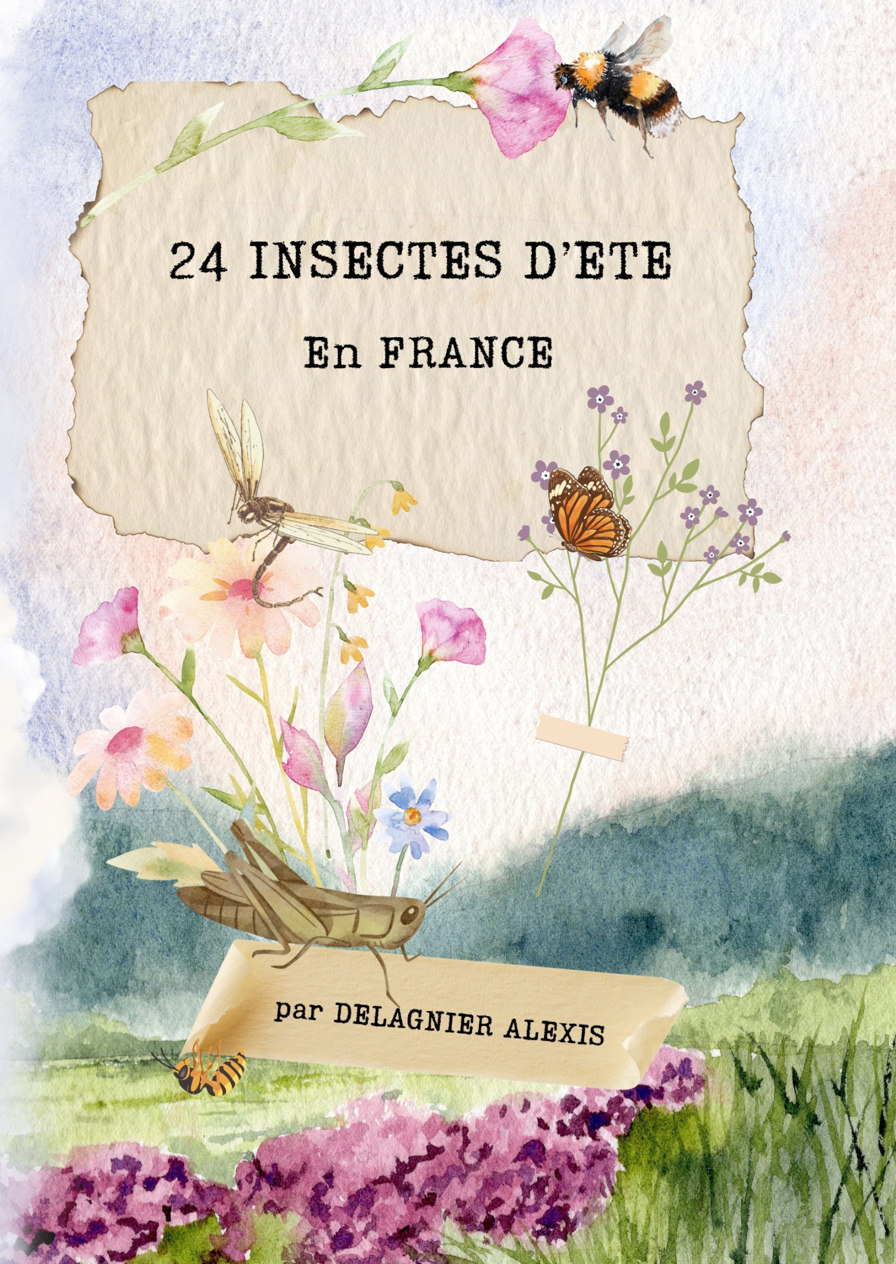 24 Insectes d'été