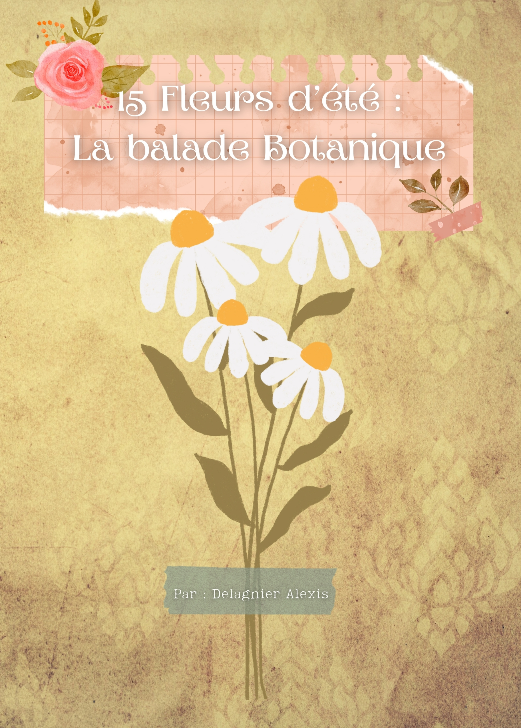 15 Fleurs d'été 