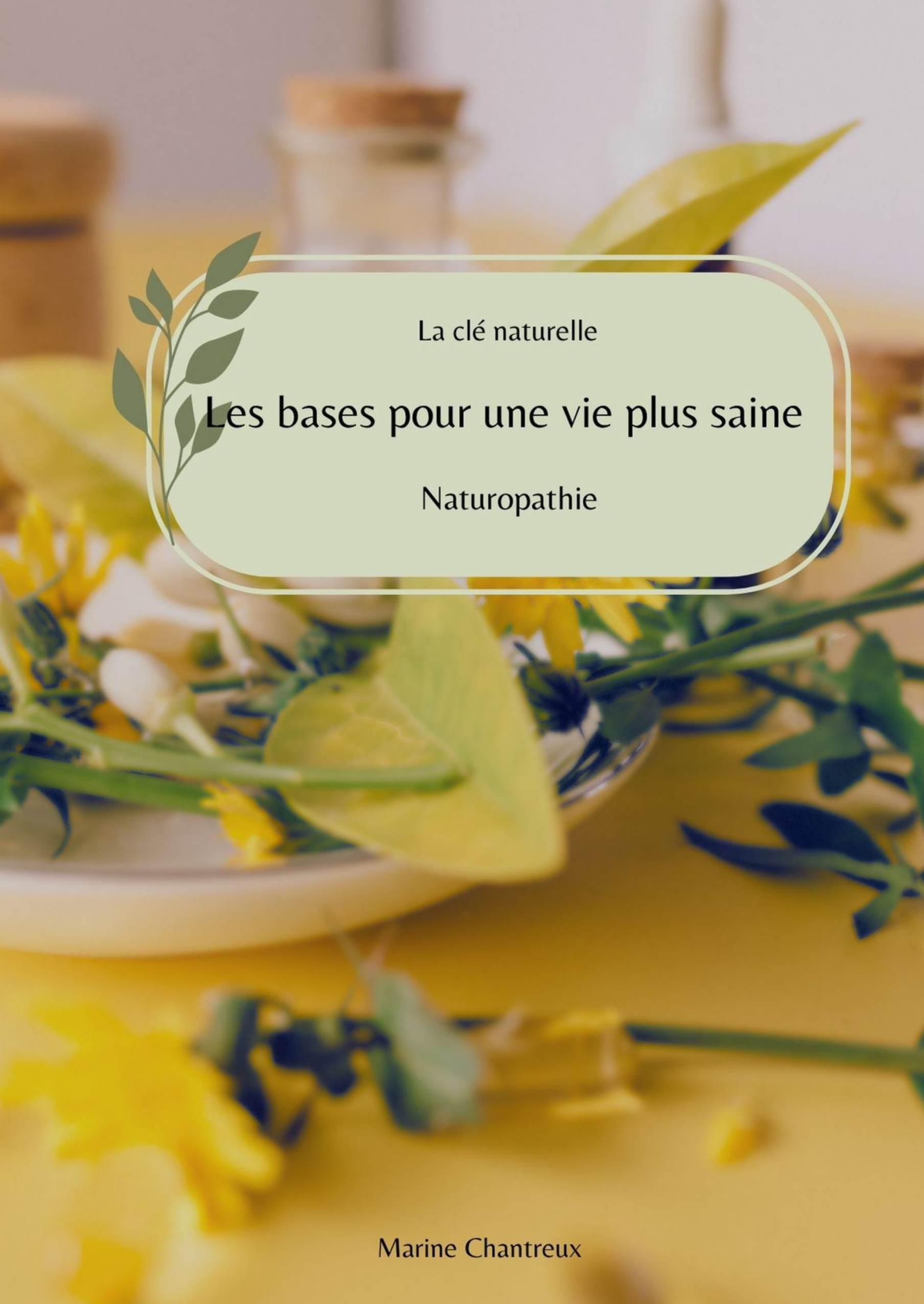 Les bases pour une vie plus saine 