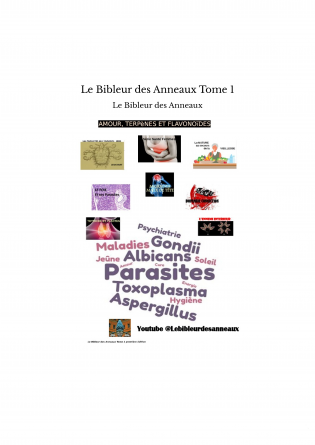 Le Bibleur des Anneaux Tome 1