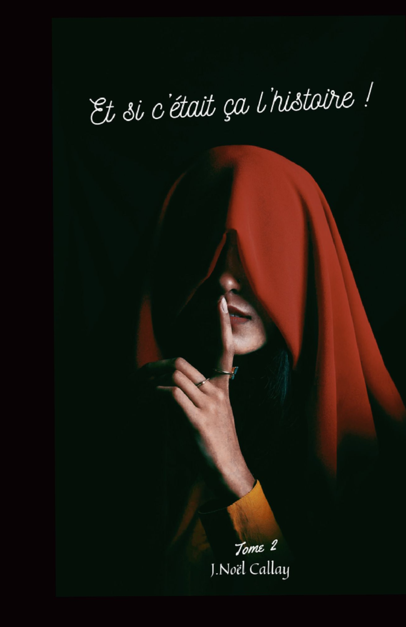 Et si c'était ça l'histoire !