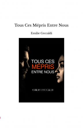 Tous Ces Mépris Entre Nous