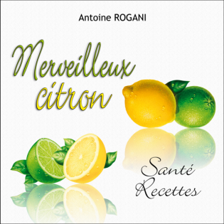 Merveilleux citron - Santé-Recettes