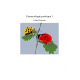 Entomologie poétique 1