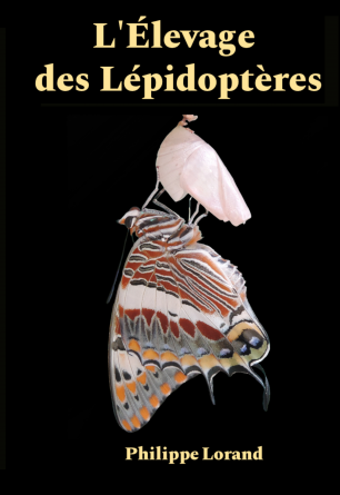 L'élevage des lépidoptères