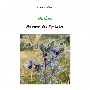 Haïkus au coeur des Pyrénées