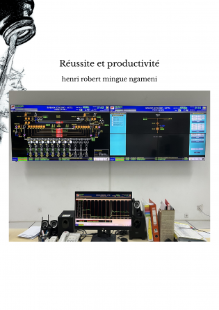 Réussite et productivité