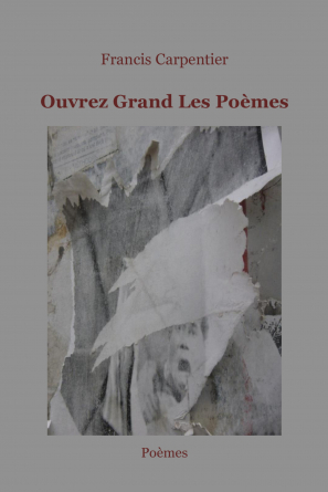 Ouvrez grand les poèmes