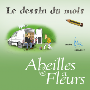 Le dessin du mois Abeilles et Fleurs