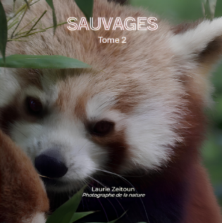 Sauvages 2