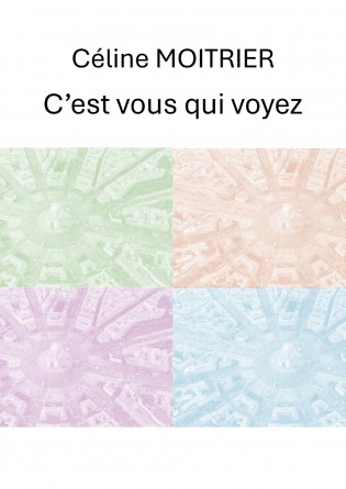 C'est vous qui voyez