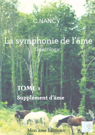 Supplément d'âme